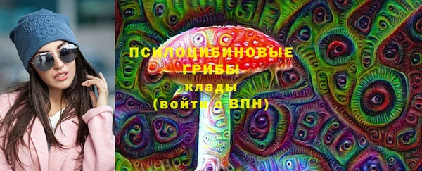 ПСИЛОЦИБИНОВЫЕ ГРИБЫ Наволоки