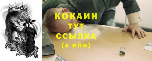 ALPHA PVP Горнозаводск