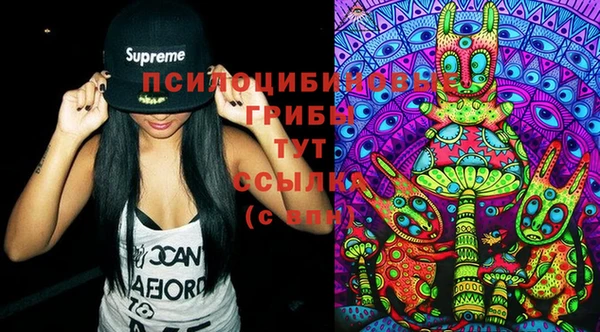ПСИЛОЦИБИНОВЫЕ ГРИБЫ Наволоки