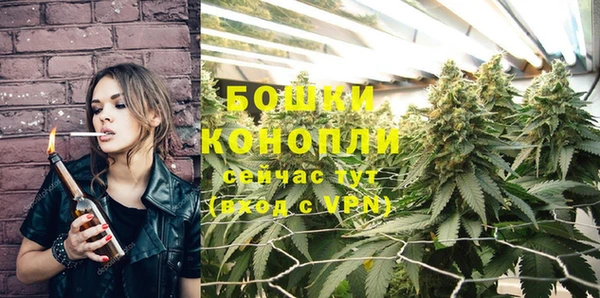 ПСИЛОЦИБИНОВЫЕ ГРИБЫ Наволоки